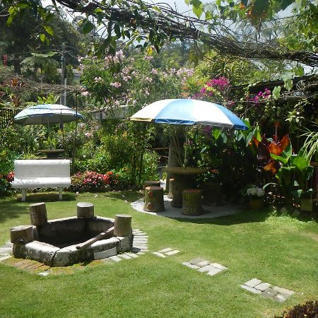 Twin Pines Guest House Cameron Highlands Exteriér fotografie