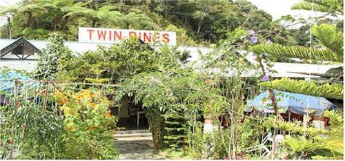 Twin Pines Guest House Cameron Highlands Exteriér fotografie