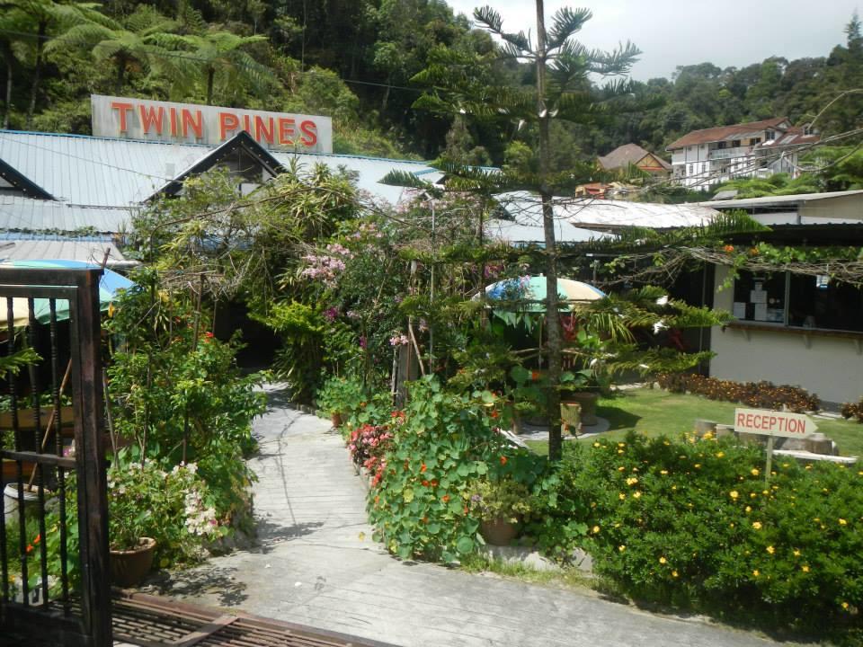 Twin Pines Guest House Cameron Highlands Exteriér fotografie