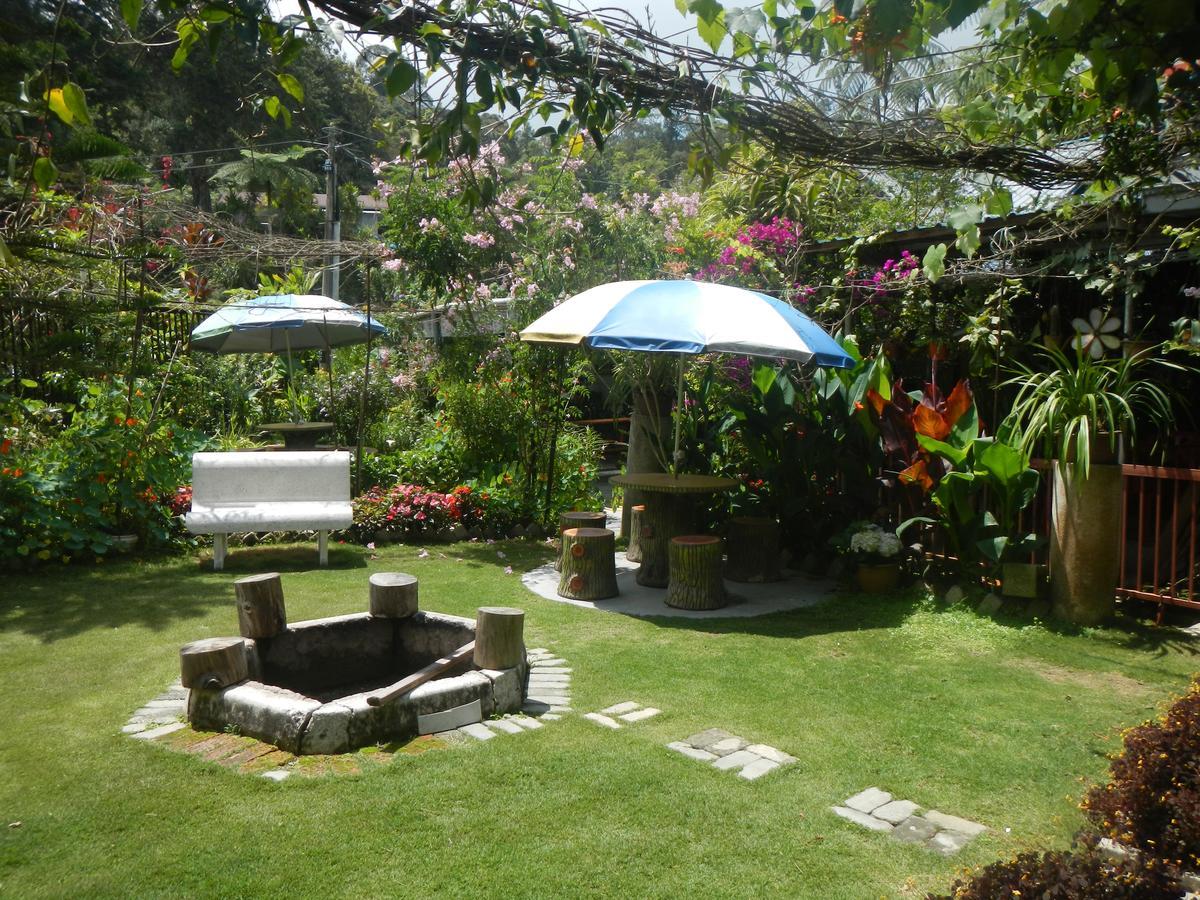 Twin Pines Guest House Cameron Highlands Exteriér fotografie