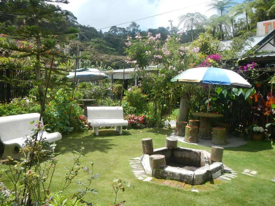 Twin Pines Guest House Cameron Highlands Exteriér fotografie
