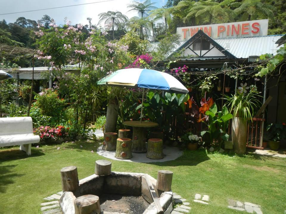 Twin Pines Guest House Cameron Highlands Exteriér fotografie