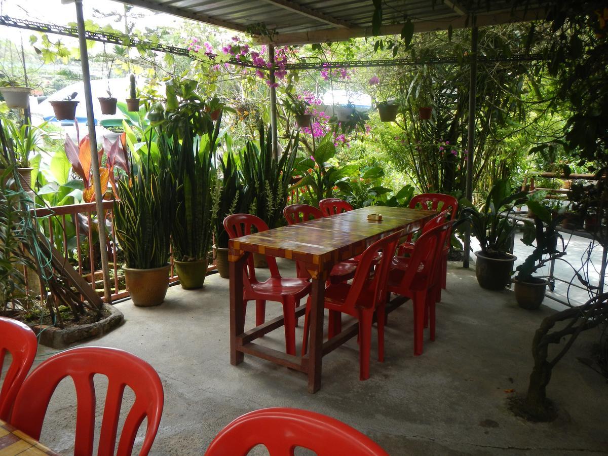 Twin Pines Guest House Cameron Highlands Exteriér fotografie