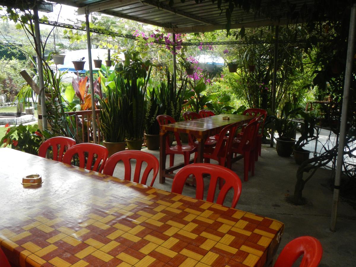 Twin Pines Guest House Cameron Highlands Exteriér fotografie