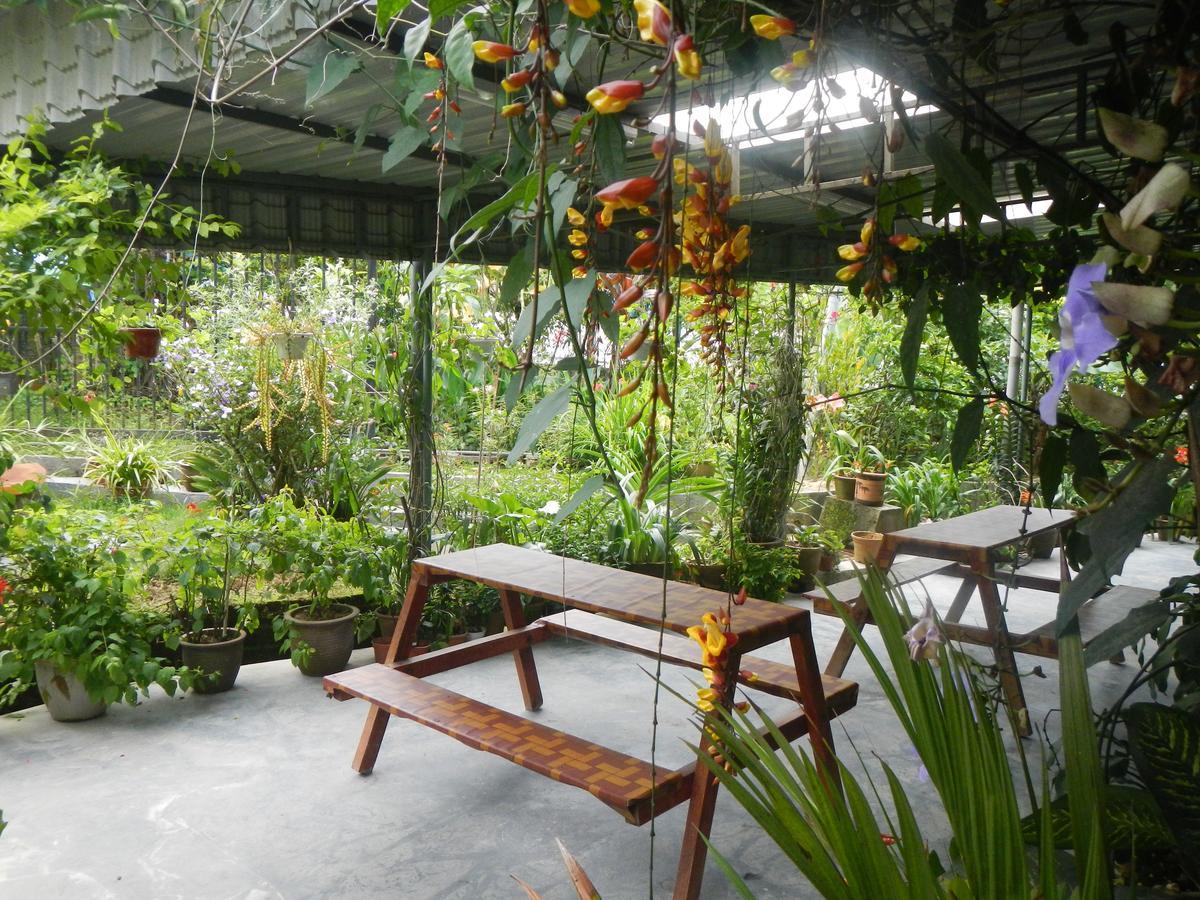 Twin Pines Guest House Cameron Highlands Exteriér fotografie